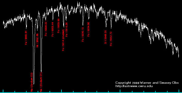 First Light Image of the Nassau Robotic Telescope Bench Spectrograph